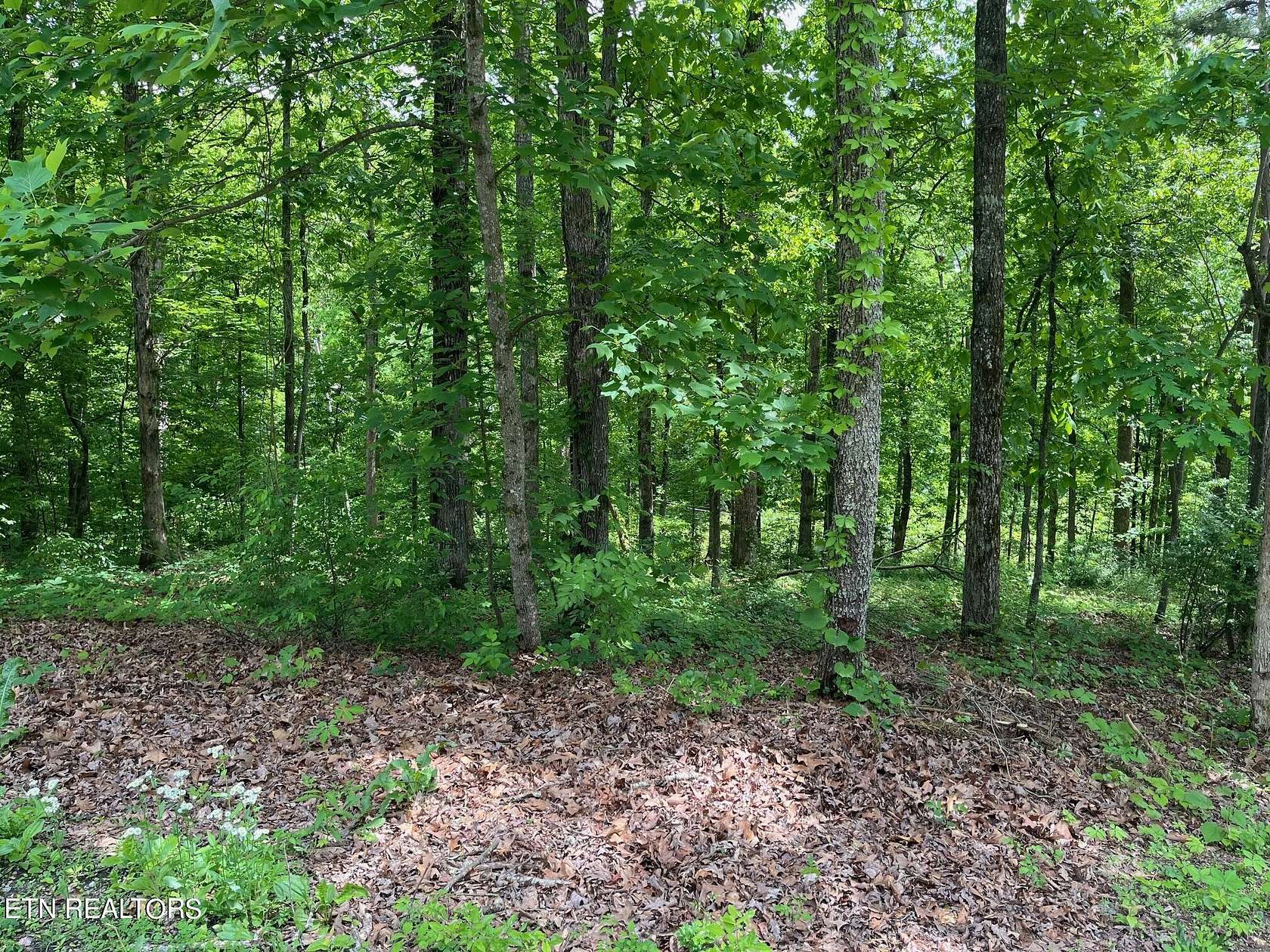 0.52 Acres of Residential Land for Sale in Loudon, Tennessee