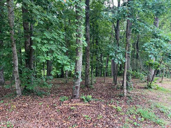 0.52 Acres of Residential Land for Sale in Loudon, Tennessee