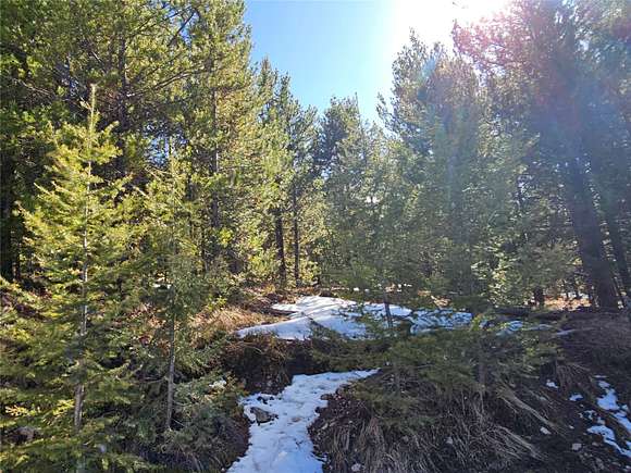 10 Acres of Land for Sale in Helmville, Montana