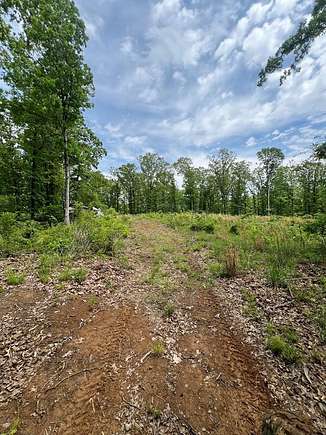 77.7 Acres of Recreational Land for Sale in Wynne, Arkansas