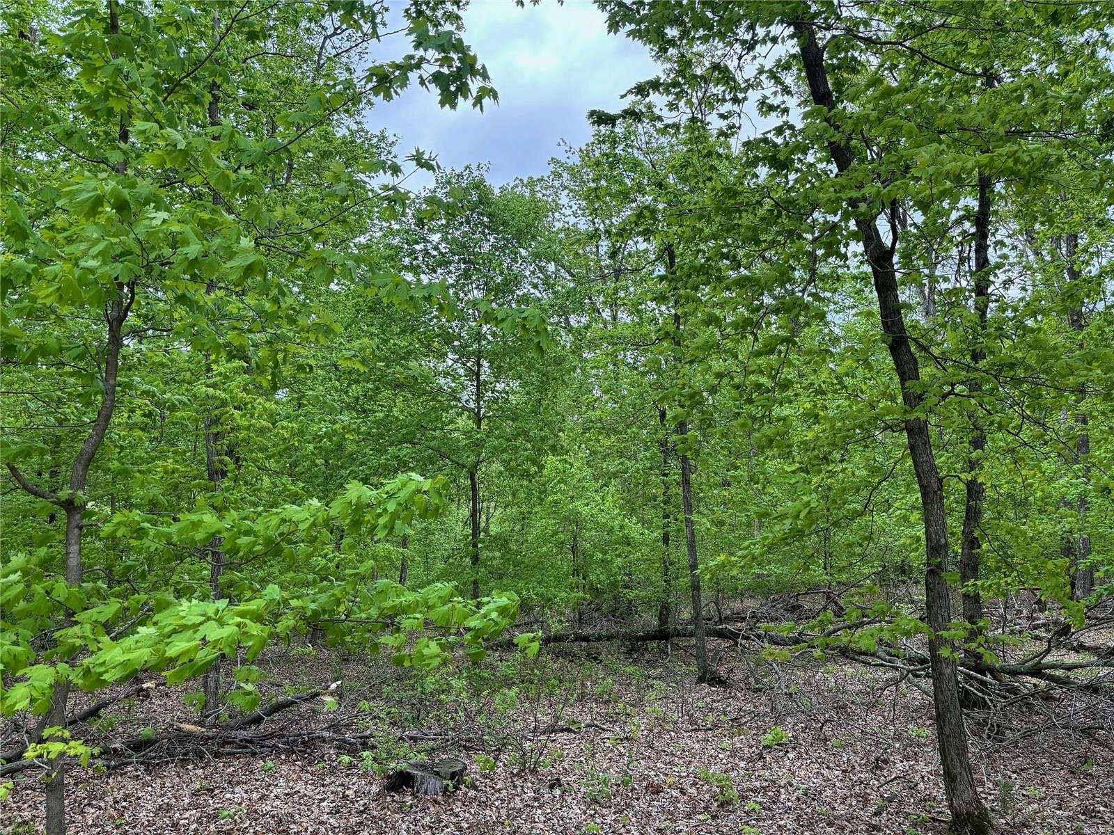 2 Acres of Residential Land for Sale in Innsbrook, Missouri