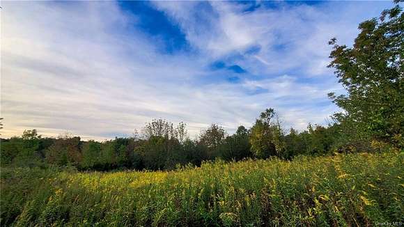 50 Acres of Recreational Land for Sale in Washington, New York