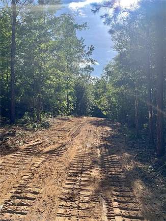 7.29 Acres of Residential Land for Sale in Seale, Alabama