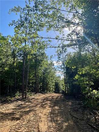 7.42 Acres of Residential Land for Sale in Seale, Alabama
