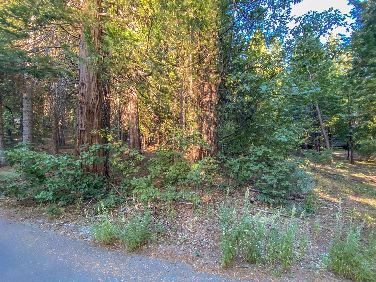 0.33 Acres of Residential Land for Sale in Dorrington, California