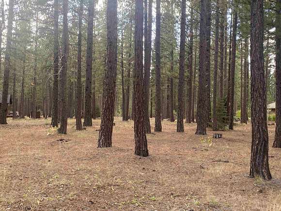 0.69 Acres of Residential Land for Sale in Clio, California