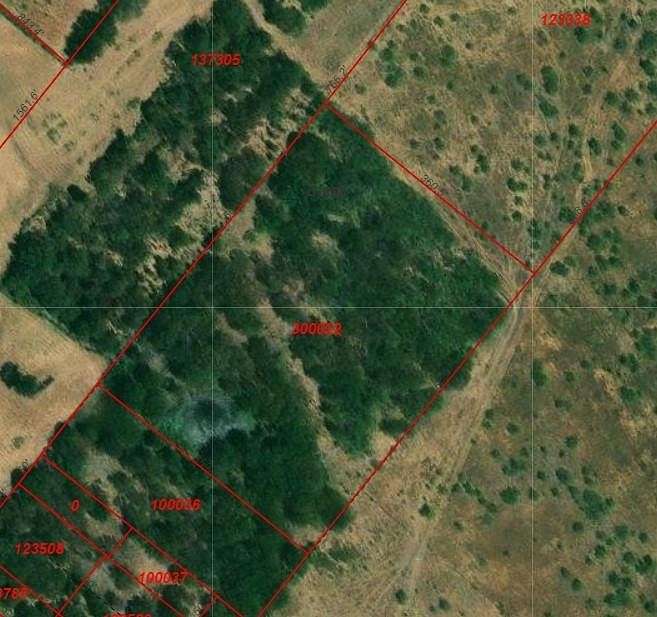 4 Acres of Land for Sale in Mount Calm, Texas