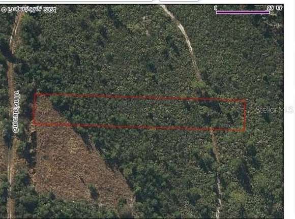 0.4 Acres of Residential Land for Sale in Christmas, Florida