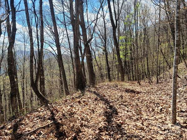 2.58 Acres of Land for Sale in Waynesville, North Carolina