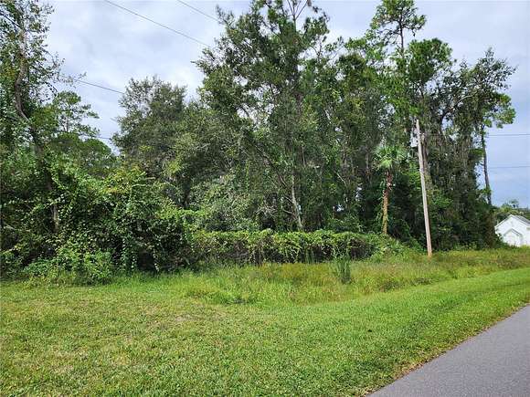 0.38 Acres of Residential Land for Sale in Astor, Florida