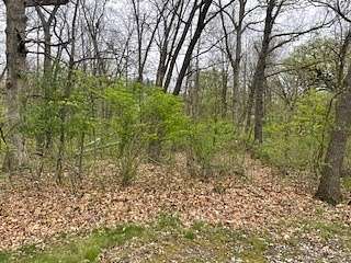 0.22 Acres of Residential Land for Sale in Crete, Illinois