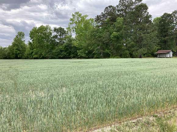 9.4 Acres of Residential Land for Sale in Pamplico, South Carolina