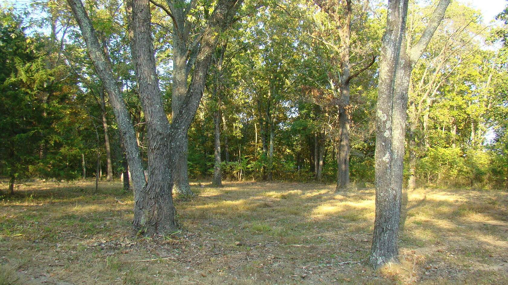 10 Acres of Recreational Land for Sale in Mountain View, Missouri