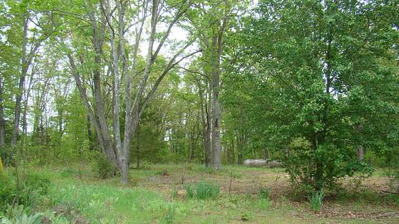 10 Acres of Recreational Land for Sale in Mountain View, Missouri
