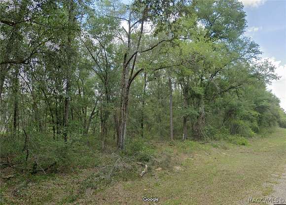 0.23 Acres of Residential Land for Sale in Dunnellon, Florida