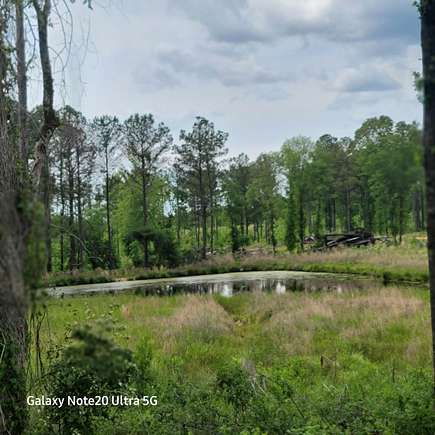 12 Acres of Land for Sale in Edgefield, South Carolina