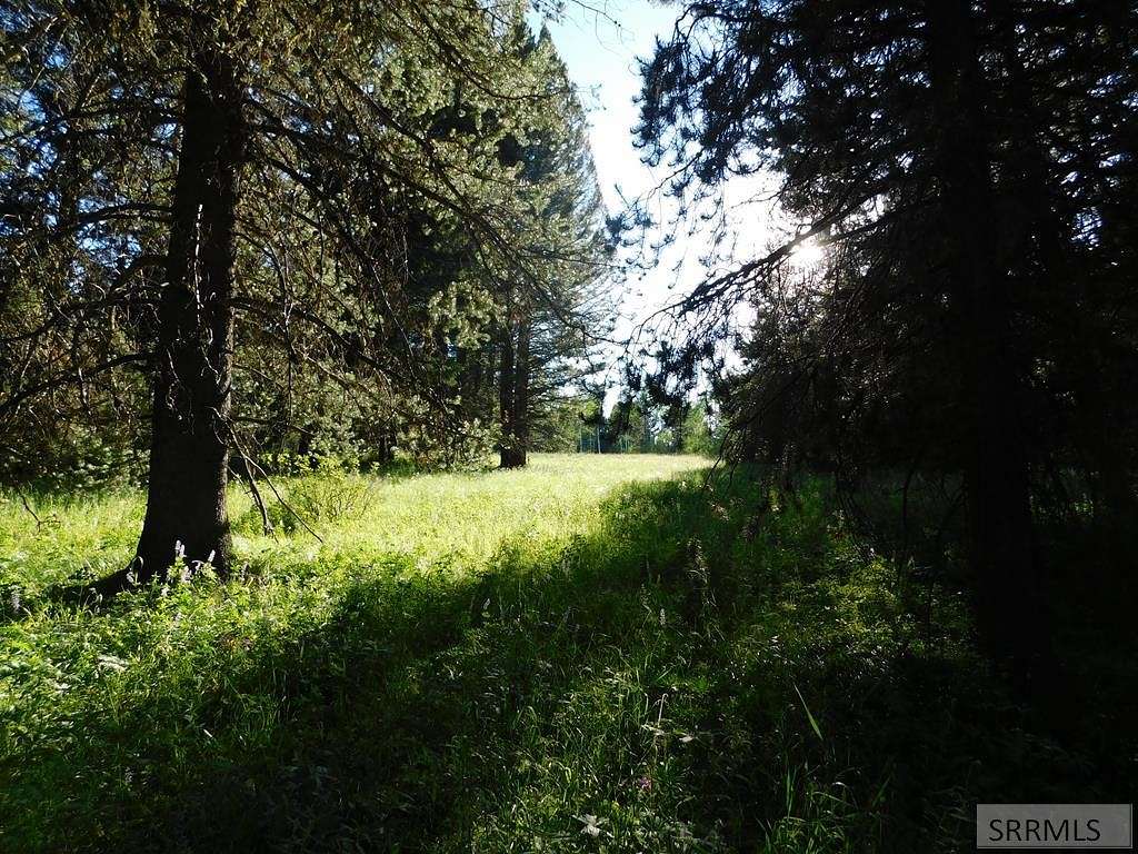 2.9 Acres of Residential Land for Sale in Island Park, Idaho