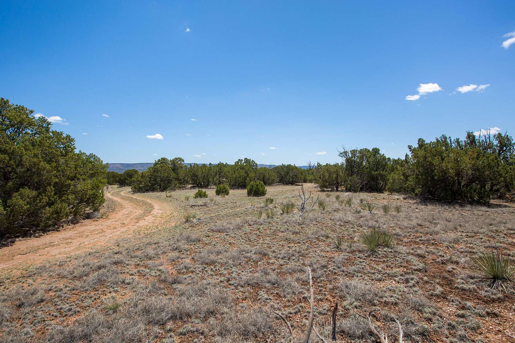 40.6 Acres of Land for Sale in Mountainair, New Mexico
