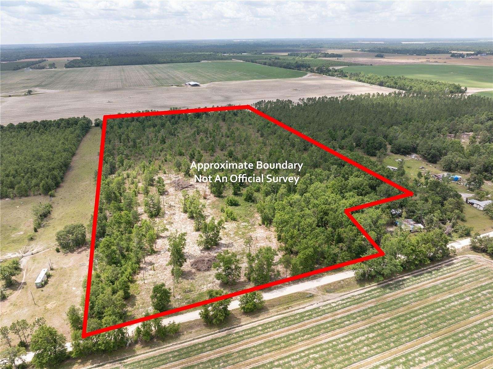 20 Acres of Land for Sale in Live Oak, Florida
