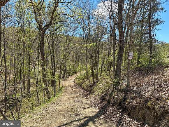 19.3 Acres of Recreational Land for Sale in Romney, West Virginia