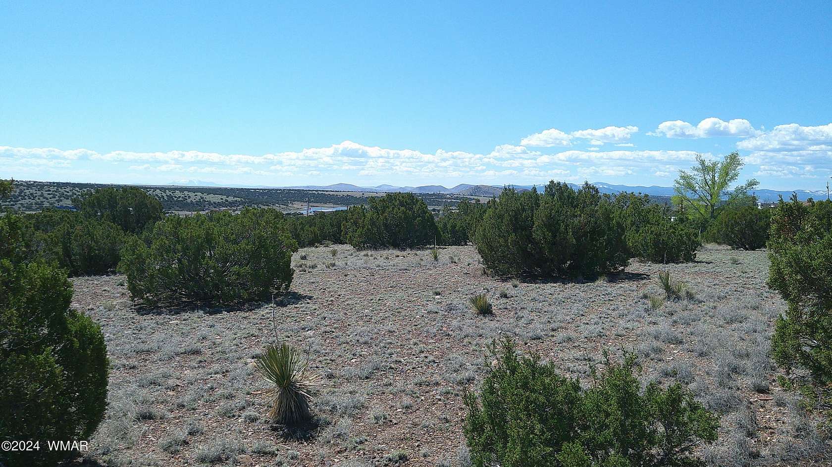 1.1 Acres of Residential Land for Sale in Concho, Arizona