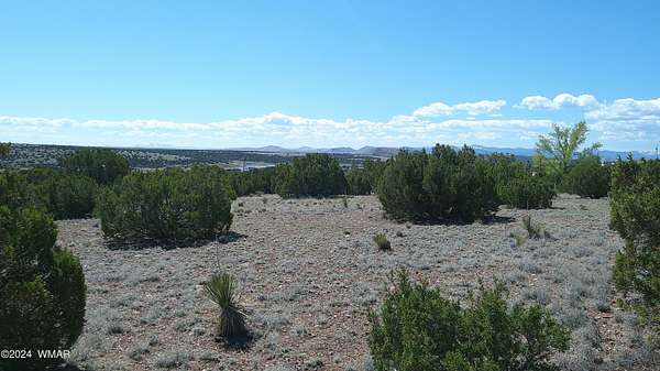 1.1 Acres of Residential Land for Sale in Concho, Arizona