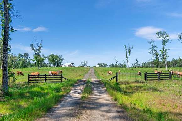 193 Acres of Agricultural Land with Home for Sale in Colmesneil, Texas