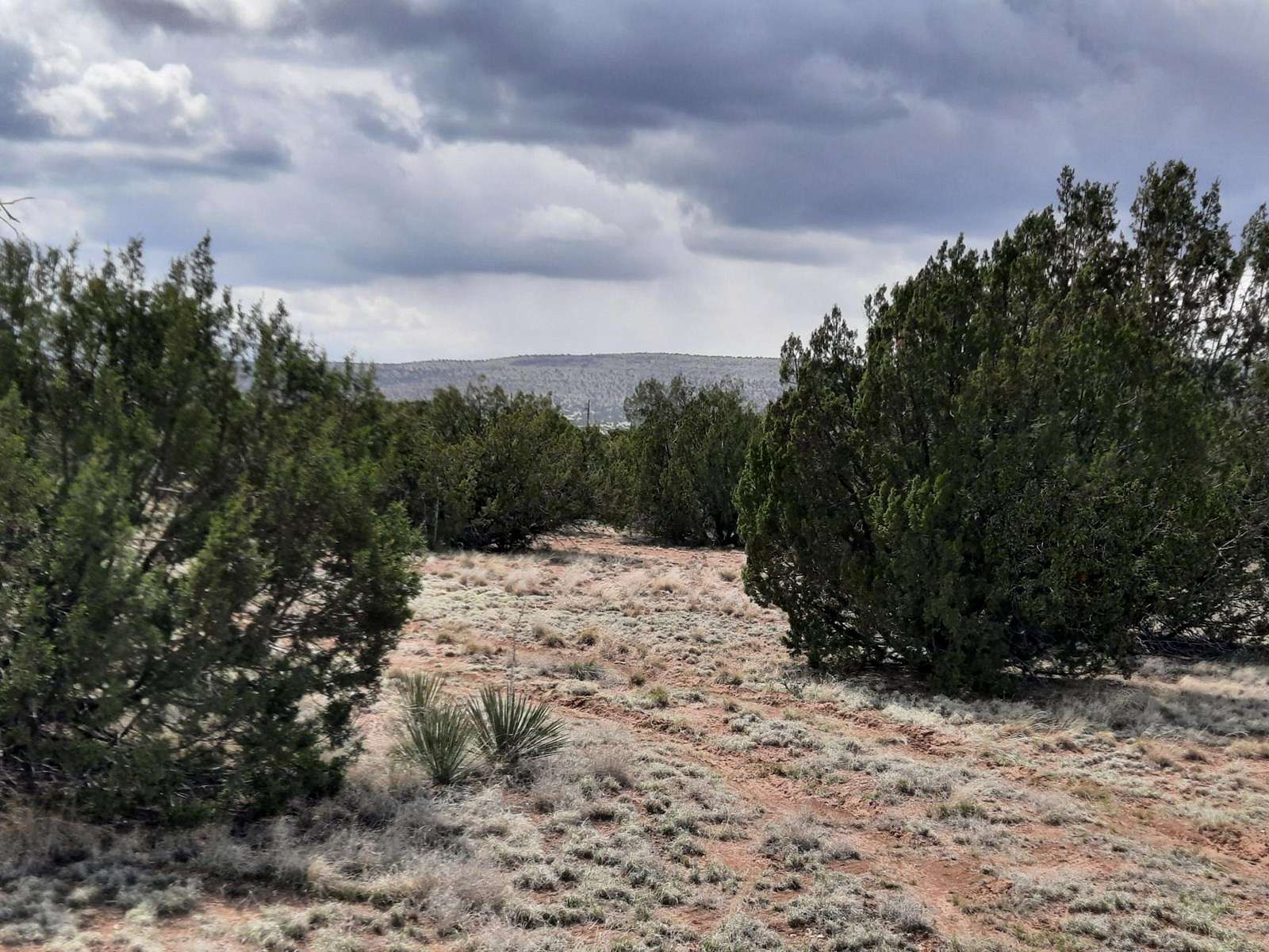 1.6 Acres of Land for Sale in Seligman, Arizona