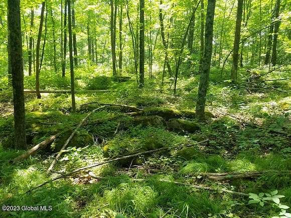 10 Acres of Residential Land for Sale in New Scotland, New York