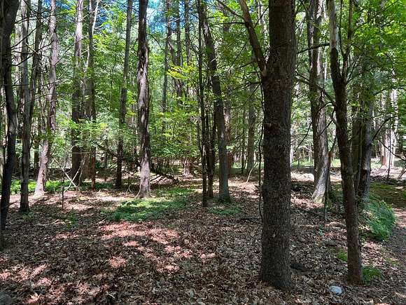 0.34 Acres of Residential Land for Sale in Ludington, Michigan