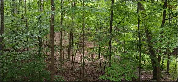 0.28 Acres of Residential Land for Sale in Spring City, Tennessee