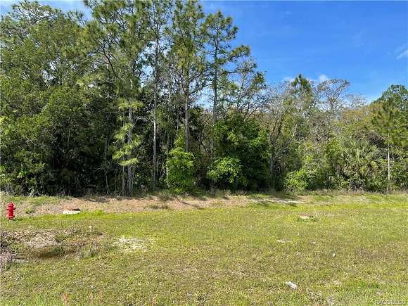 4 Acres of Residential Land for Sale in Homosassa, Florida