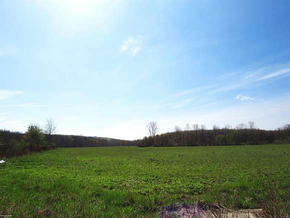 24.2 Acres of Agricultural Land for Sale in Lenox Township, Michigan
