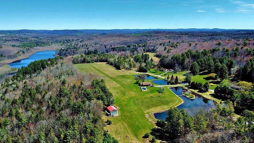50.5 Acres of Land with Home for Sale in Cochecton, New York