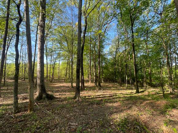 10 Acres of Recreational Land for Sale in Bowden, Georgia