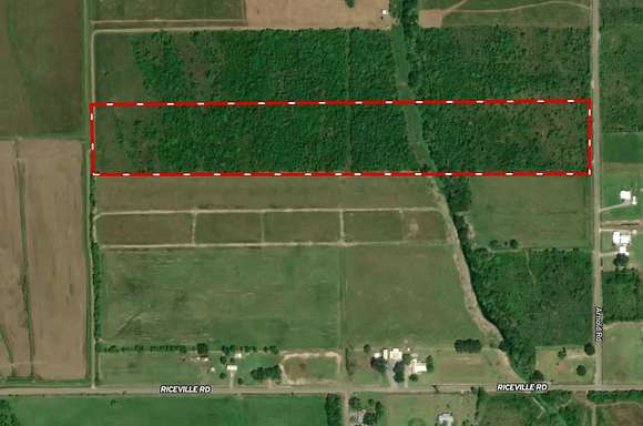 23.4 Acres of Recreational Land for Sale in Gueydan, Louisiana