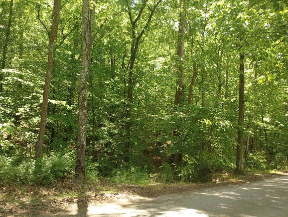 0.92 Acres of Residential Land for Sale in Linden, Tennessee
