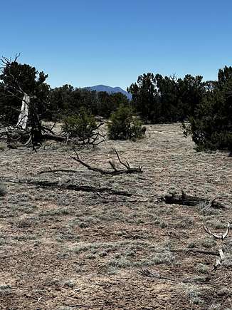 16.71 Acres of Land for Sale in Quemado, New Mexico