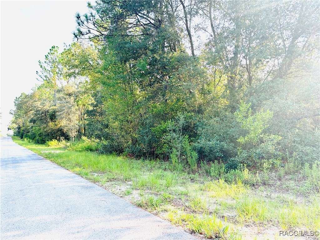 1 Acre of Residential Land for Sale in Dunnellon, Florida