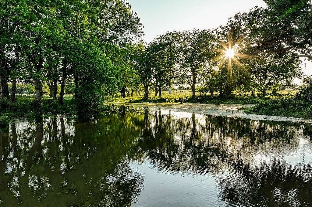 248 Acres of Agricultural Land with Home for Sale in Brenham, Texas