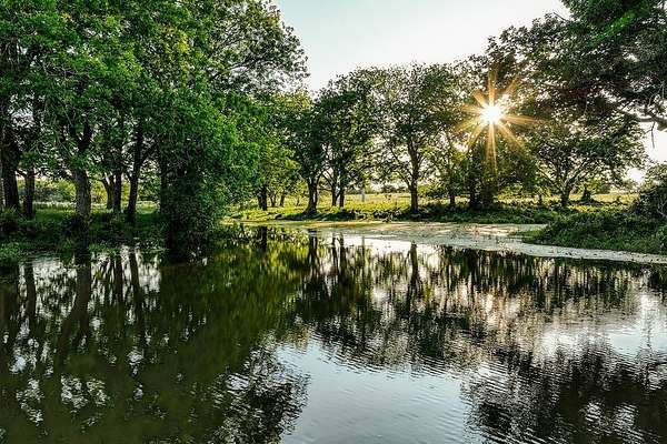 248 Acres of Agricultural Land with Home for Sale in Brenham, Texas