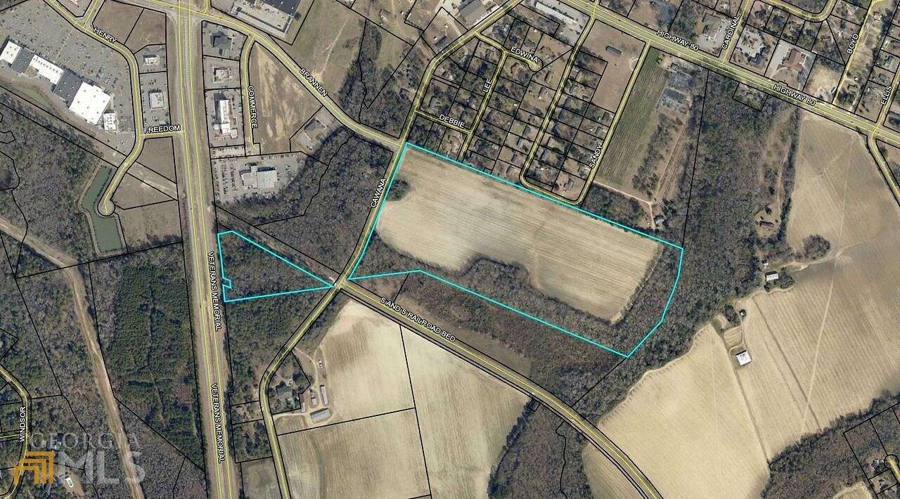 44.1 Acres of Agricultural Land for Sale in Statesboro, Georgia