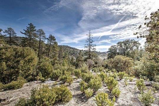 0.57 Acres of Residential Land for Sale in Idyllwild, California