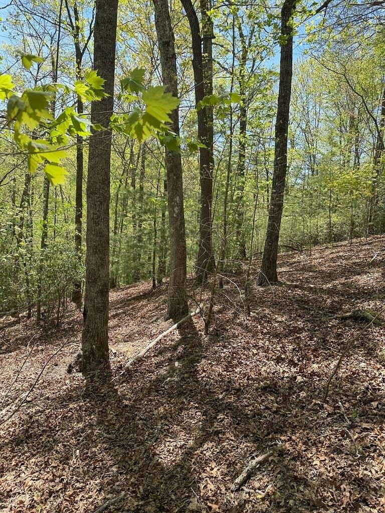 Land for Sale in Murphy, North Carolina