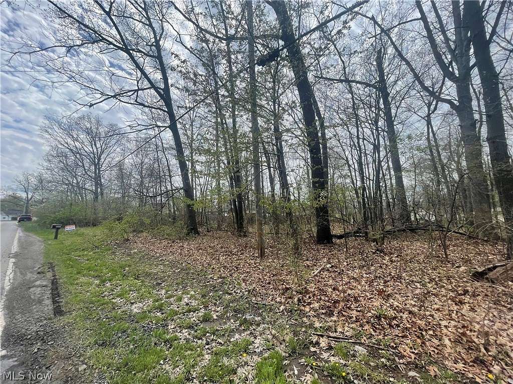 0.15 Acres of Residential Land for Sale in Lorain, Ohio