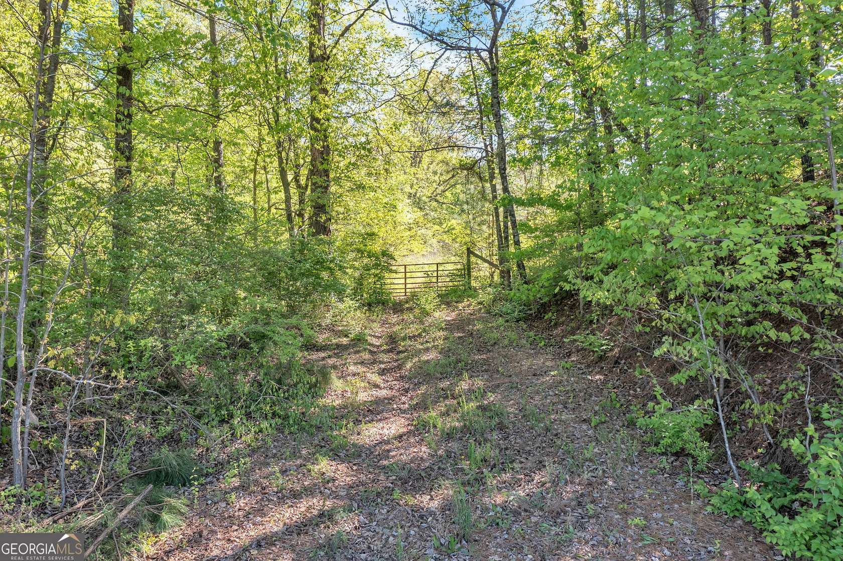 12 Acres of Land for Sale in Jasper, Georgia