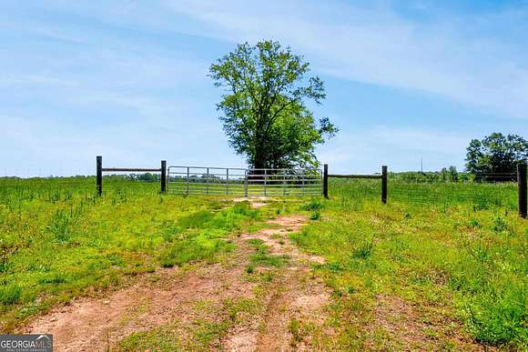 57.3 Acres of Agricultural Land for Sale in Eastanollee, Georgia