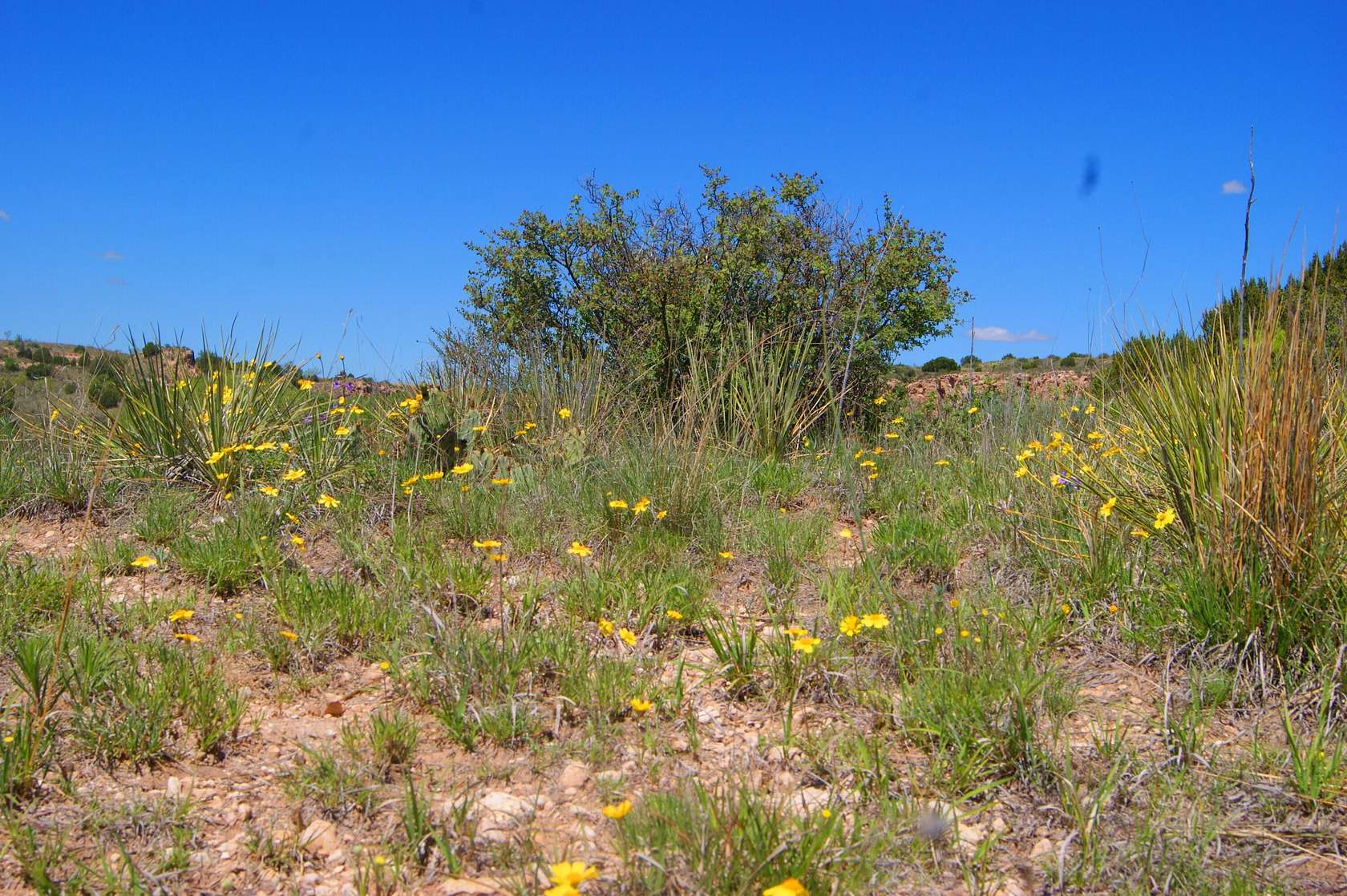 2.2 Acres of Land for Sale in Amarillo, Texas