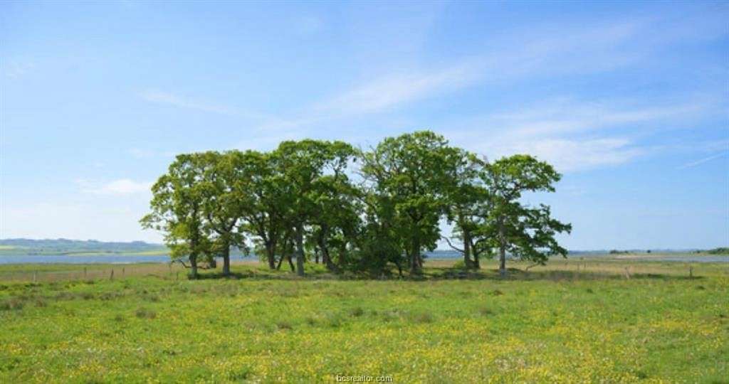 3.5 Acres of Residential Land for Sale in Caldwell, Texas