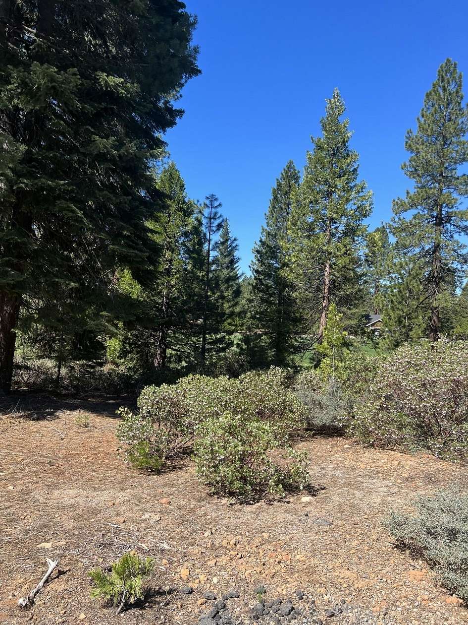 0.29 Acres of Land for Sale in Lake Almanor Peninsula, California